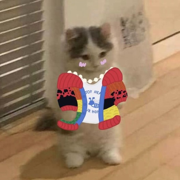 Meet your Posher, Nelly - Picture 1 of 1